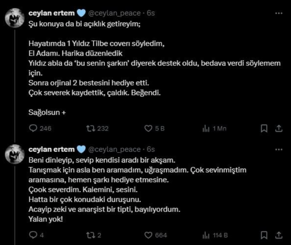  ceylan ertem den yildiz tilbe ye sert sozler anam olsa iliskiyi keserim